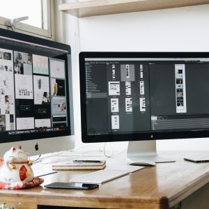 Elegant workspace with dual monitors on a wooden desk, featuring a plant and a lucky cat decoration.